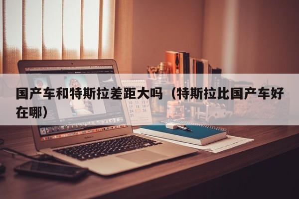 国产车和特斯拉差距大吗(特斯拉比国产车好在哪)