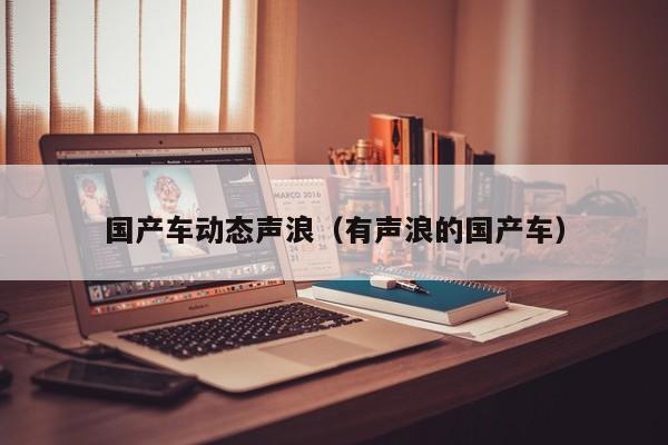 国产车动态声浪(有声浪的国产车)