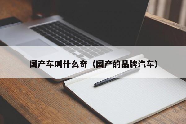 国产车叫什么奇(国产的品牌汽车)