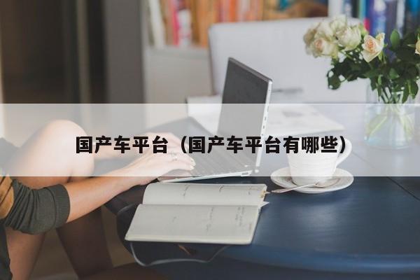 国产车平台(国产车平台有哪些)