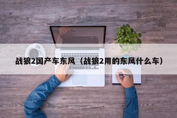 战狼2国产车东风(战狼2用的东风什么车)
