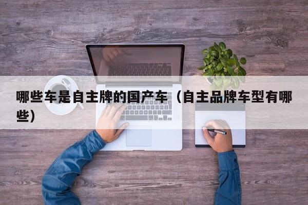 哪些车是自主牌的国产车(自主品牌车型有哪些)