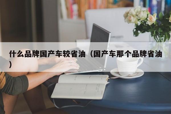 什么品牌国产车较省油(国产车那个品牌省油)