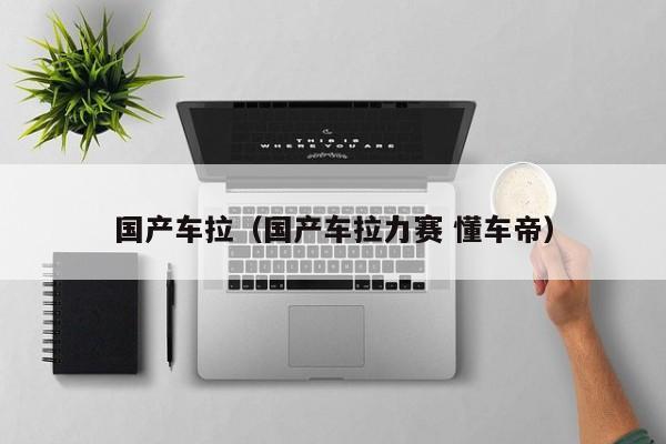 国产车拉(国产车拉力赛 懂车帝)
