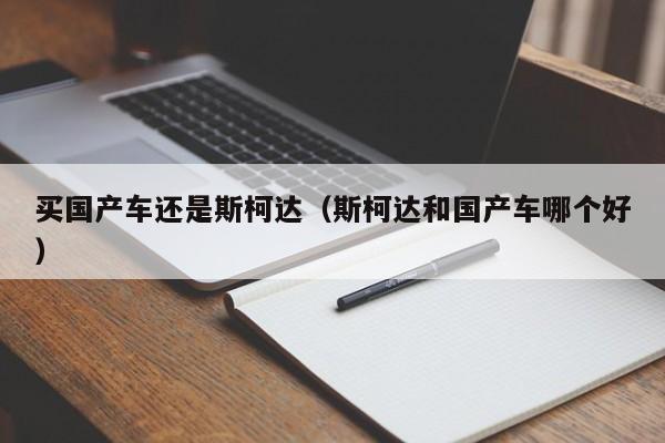 买国产车还是斯柯达(斯柯达和国产车哪个好)
