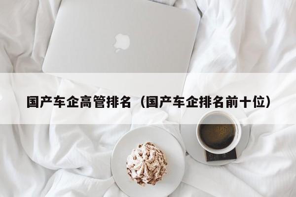 国产车企高管排名(国产车企排名前十位)