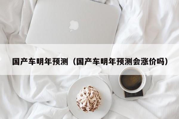 国产车明年预测(国产车明年预测会涨价吗)
