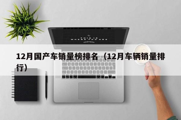12月国产车销量榜排名(12月车辆销量排行)