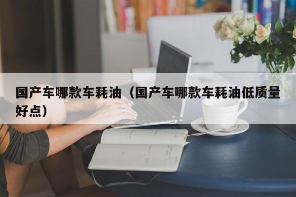 国产车哪款车耗油(国产车哪款车耗油低质量好点)