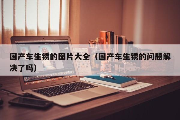 国产车生锈的图片大全(国产车生锈的问题解决了吗)