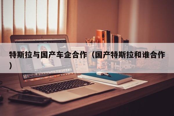 特斯拉与国产车企合作(国产特斯拉和谁合作)