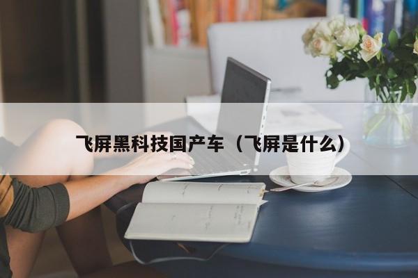 飞屏黑科技国产车(飞屏是什么)