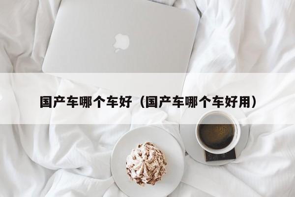 国产车哪个车好(国产车哪个车好用)