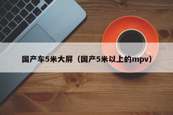 国产车5米大屏(国产5米以上的mpv)