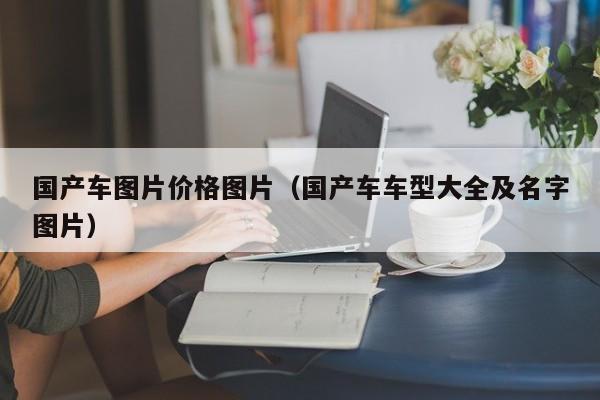 国产车图片价格图片(国产车车型大全及名字图片)