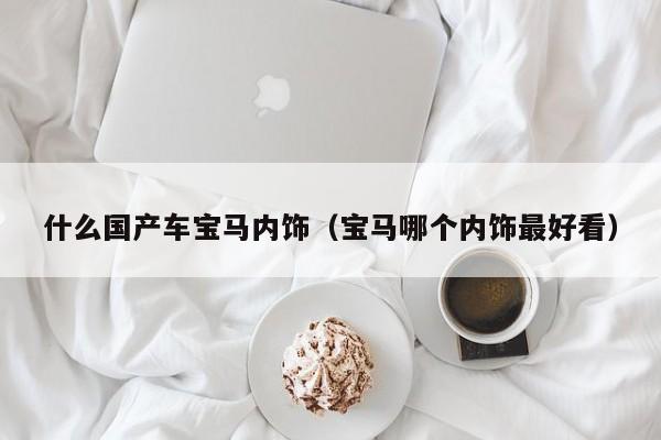 什么国产车宝马内饰(宝马哪个内饰最好看)