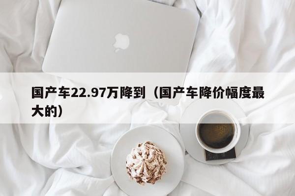 国产车22.97万降到(国产车降价幅度最大的)