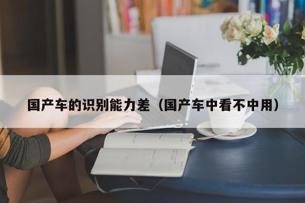 国产车的识别能力差(国产车中看不中用)