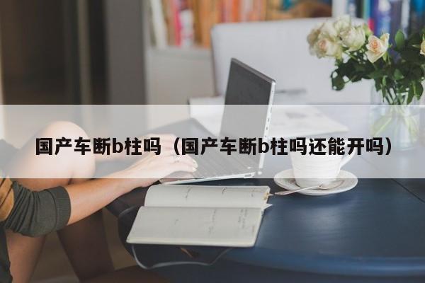 国产车断b柱吗(国产车断b柱吗还能开吗)