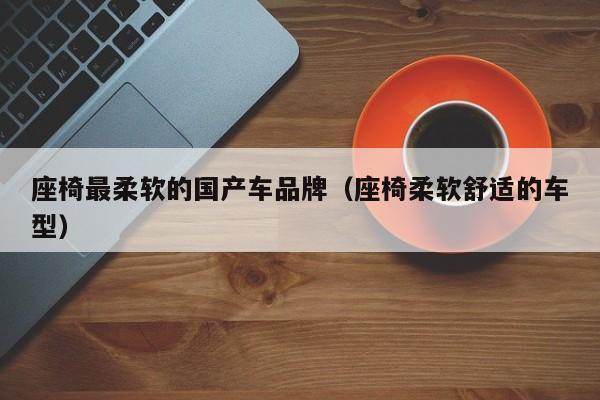 座椅最柔软的国产车品牌(座椅柔软舒适的车型)
