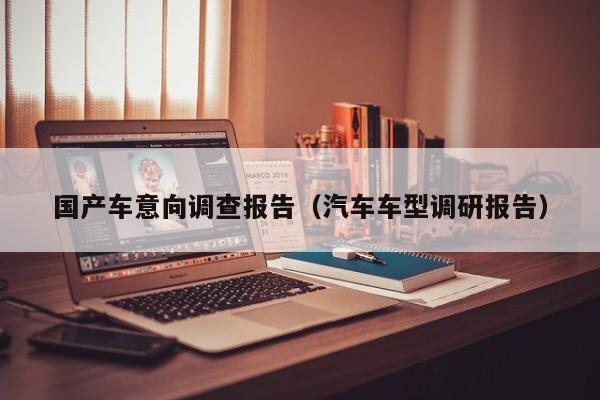 国产车意向调查报告(汽车车型调研报告)