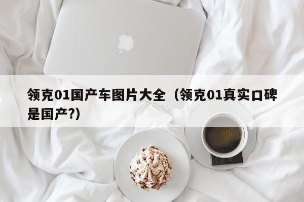 领克01国产车图片大全(领克01真实口碑是国产?)