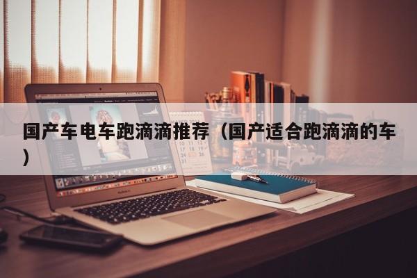国产车电车跑滴滴推荐(国产适合跑滴滴的车)