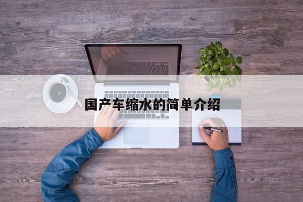 国产车缩水的简单介绍