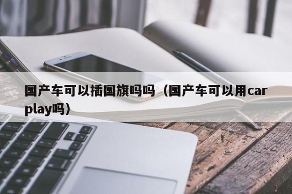 国产车可以插国旗吗吗(国产车可以用carplay吗)