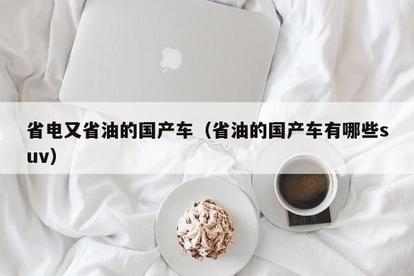 省电又省油的国产车(省油的国产车有哪些suv)