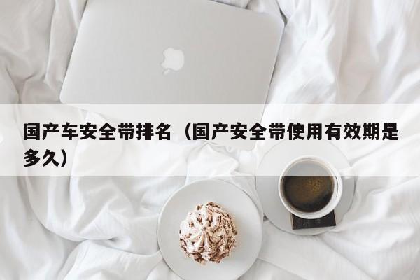 国产车安全带排名(国产安全带使用有效期是多久)