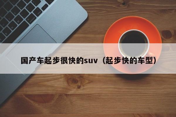 国产车起步很快的suv(起步快的车型)