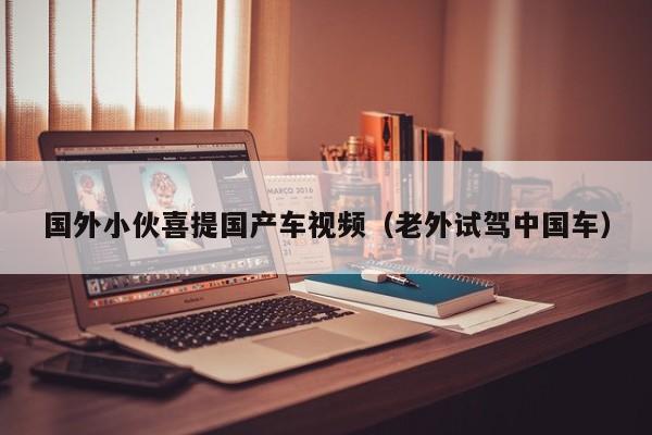 国外小伙喜提国产车视频(老外试驾中国车)