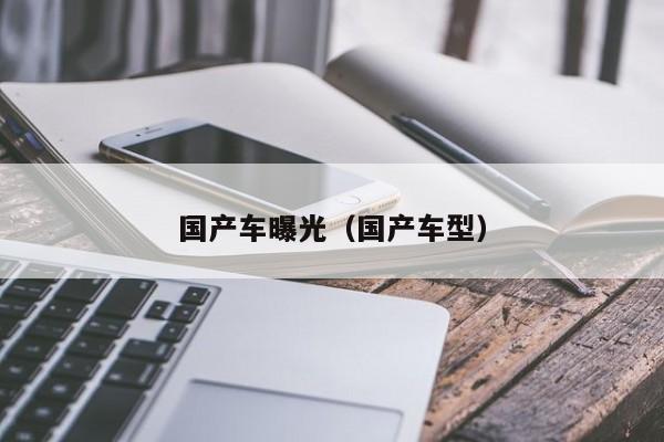 国产车曝光(国产车型)