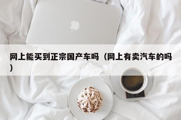 网上能买到正宗国产车吗(网上有卖汽车的吗)