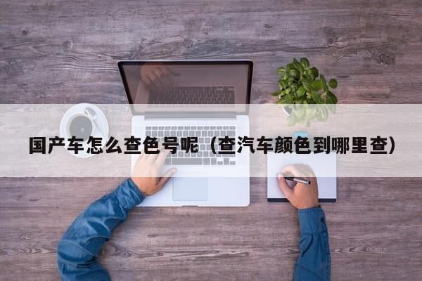 国产车怎么查色号呢(查汽车颜色到哪里查)