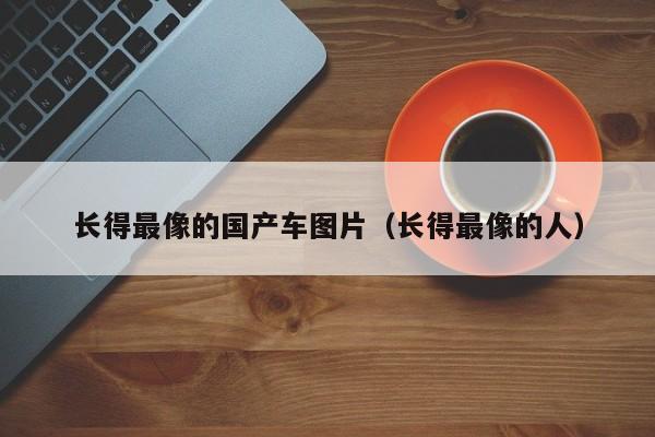 长得最像的国产车图片(长得最像的人)