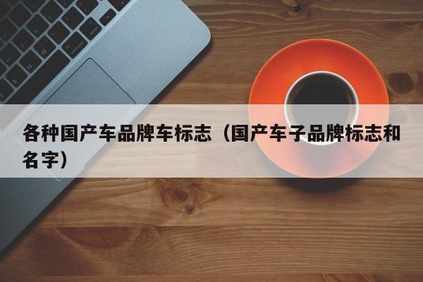 各种国产车品牌车标志(国产车子品牌标志和名字)