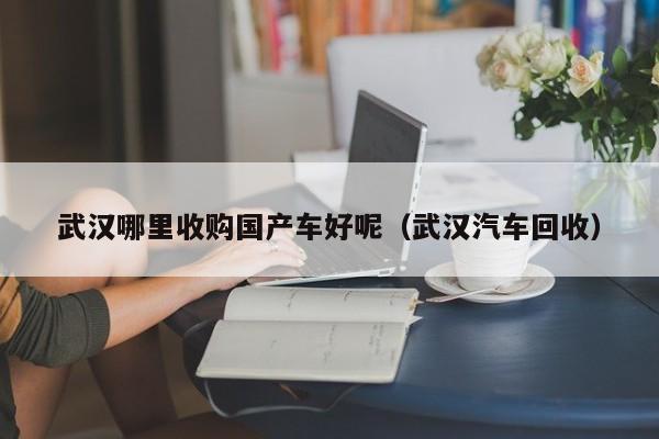 武汉哪里收购国产车好呢(武汉汽车回收)