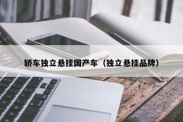 轿车独立悬挂国产车(独立悬挂品牌)