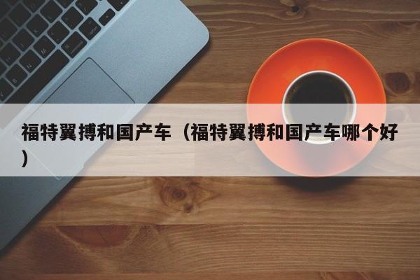 福特翼搏和国产车(福特翼搏和国产车哪个好)