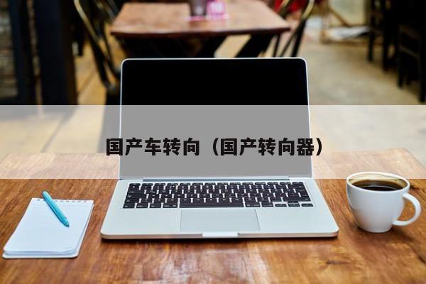 国产车转向(国产转向器)